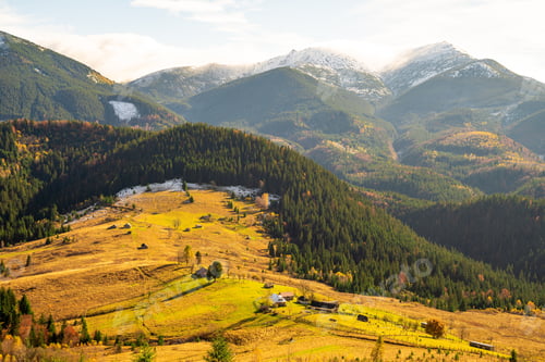 Preview: Beautiful forests covering the Carpathian mountains and a small village
