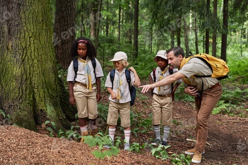 Preview: Group of scouts exploring nature during field trip