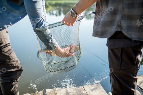 Preview: Fisherman getting fish from the net