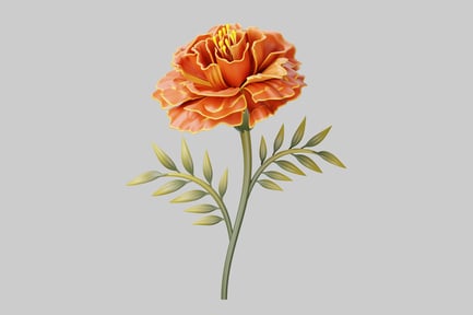Preview: Orange flower with ruffled petals