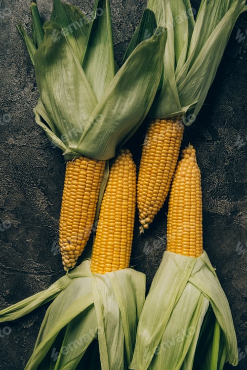 Preview: elevated view of four corn cobs on grey dark table