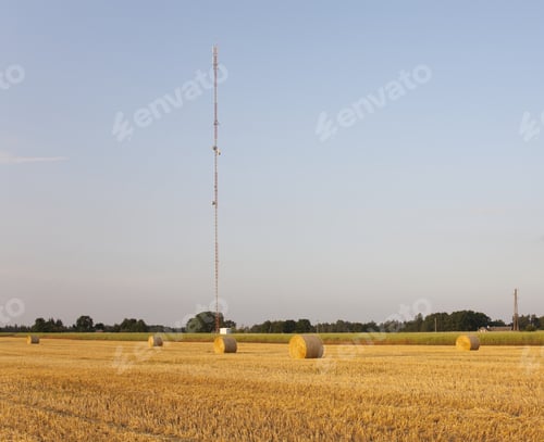 Preview: Bales of Hay in Field