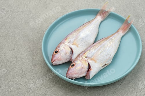 Preview: Yellow Croaker Fish, Ikan Ekor Kuning