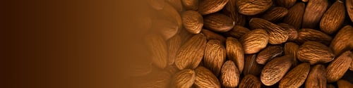 Preview: Banner 4x1 background of almond placer filling the entire frame