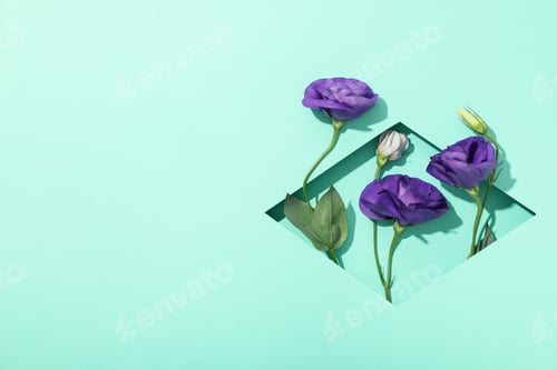 Preview: Beautiful, fresh flowers on a blue background.