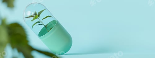 Preview: Elegant homeopathy capsule with a plant inside, conveying natural and alternative medicine concepts