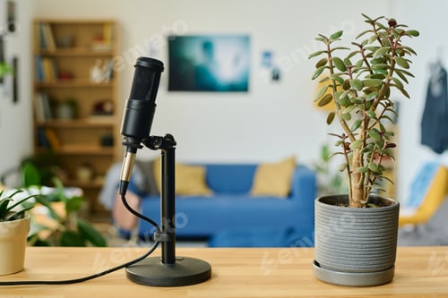 Preview: Focus on microphone and flowerpot with green domestic plant on table