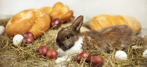 Preview: Eggs and bakery products on hay with little rabbit on white background