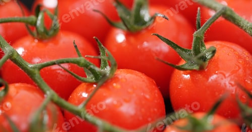 Preview: Cherry tomato in red