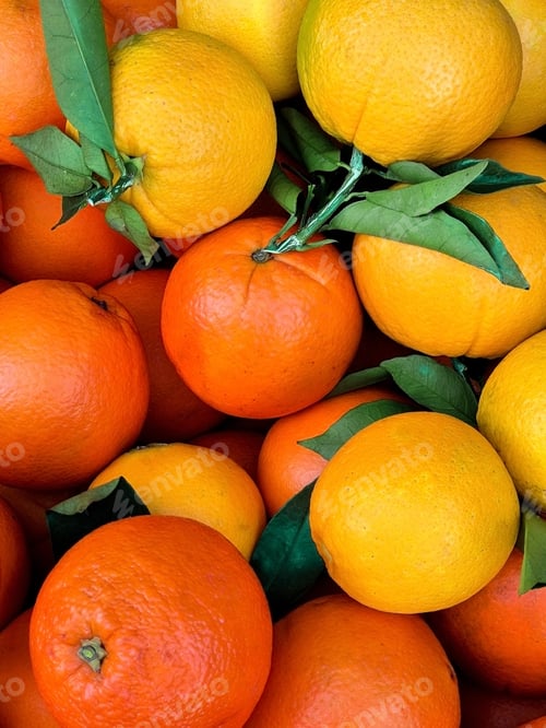 Preview: Fresh oranges and mandarins with green leaves in a vibrant natural composition