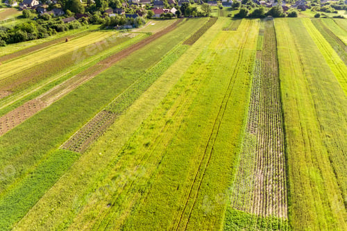 Preview: Aerial view of green agricultural fields in spring with fresh vegetation after seeding season
