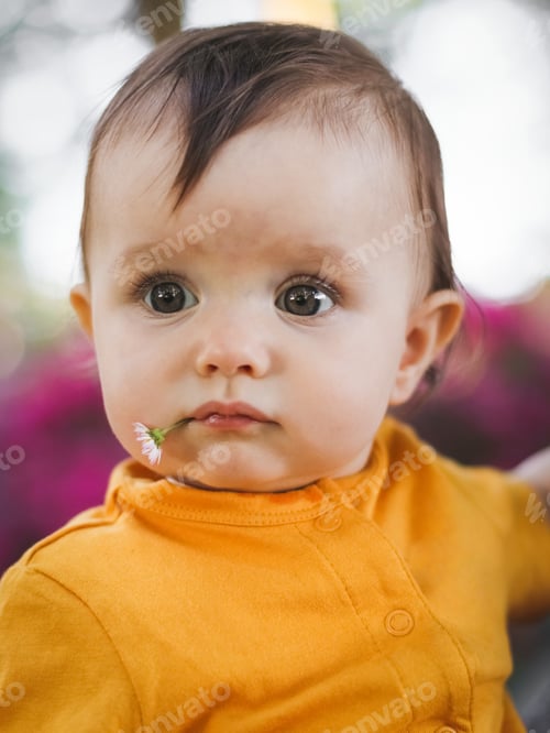Preview: Portrait of a beautiful little caucasian baby girl with a daisy in her mouth in a yellow bodysuit
