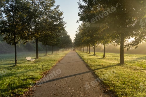 Preview: Parco Nord of Milan in a October morning