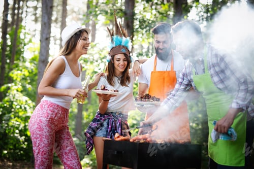 Preview: Friends having fun in nature doing bbq
