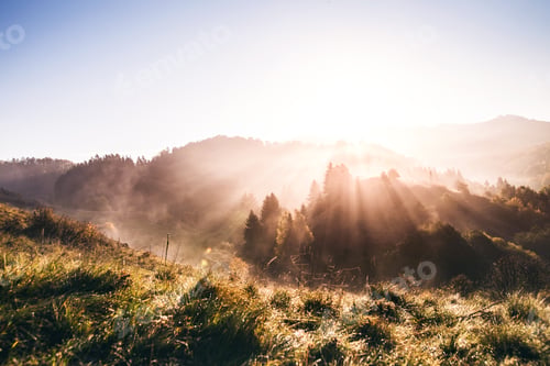 Preview: Sunrise in an autumn nature.