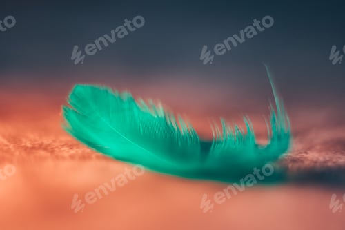 Preview: Beauty green macro feather on a gradient background