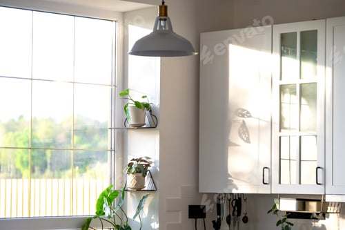 Preview: Kitchen window with a golden layout with a home plant in a pot of monstera adansoni with a leaf shad