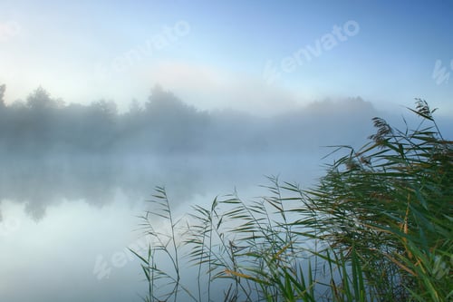 Preview: Beautiful foggy autumn dawn on river with trees