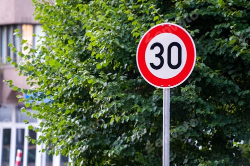 Preview: Red and white 30 speed limit sign with lush green tree in the background