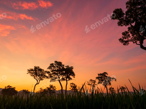 Preview: Beautiful landscape mountain green field grass meadow white cloud blue sky