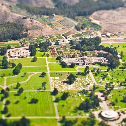 Preview: Campus or park with mountains beyond.
