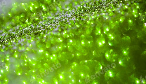 Preview: Glitter On Paper Background Image