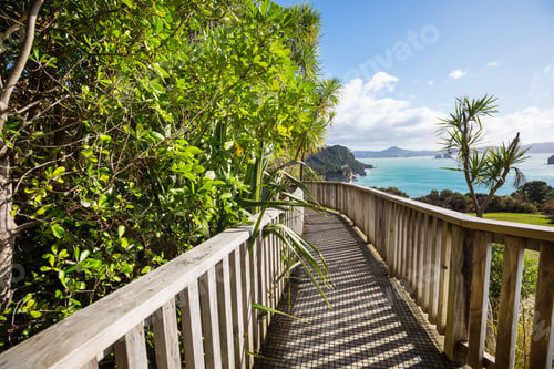 Preview: Boardwalk in New Zealand coast