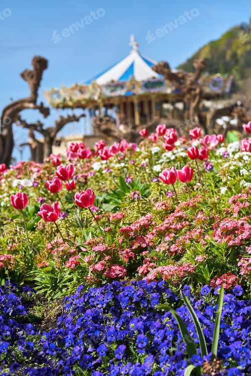 Preview: Spring flowers of red and purple with a merry-go-round in the background