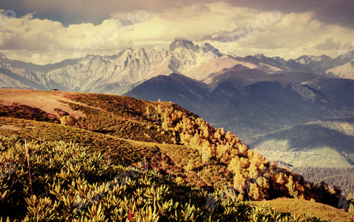 Preview: Autumn landscape and snow-capped mountain peaks. View of the mou