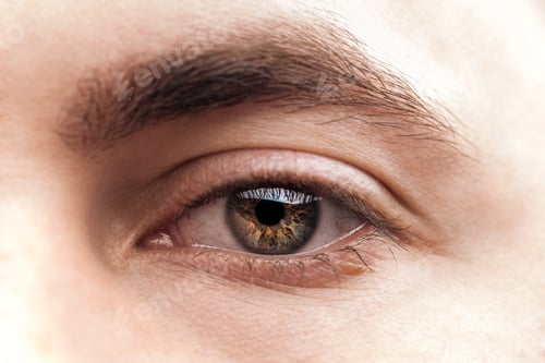 Preview: close up view of young woman brown eye with eyelashes and eyebrow