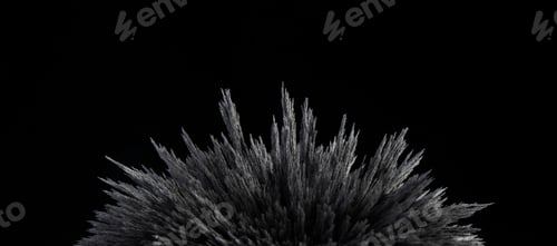 Preview: Reaction of iron dust to a magnetic field of a strong neodymium magnet on a black background