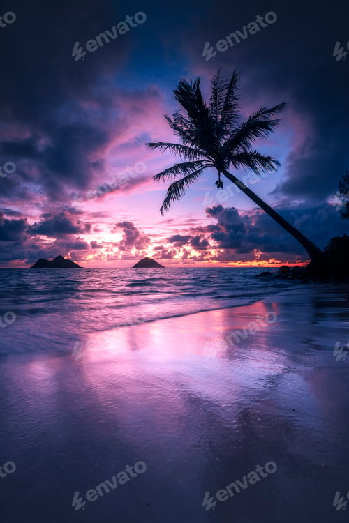 Preview: Oahu Sunset with Vibrant Colors
