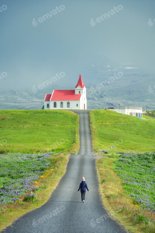 Preview: Holy Ingjaldsholskirkja church on hill with female tourist enjoying among lupine flower in summer
