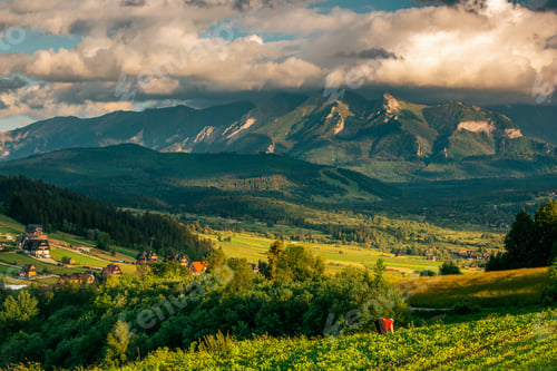 Preview: Tatra Mountains landscape, lush green meadows and trees at summer