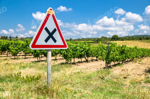 Preview: X sign in a vineyard in France