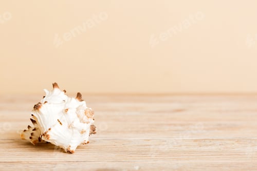 Preview: Summer time concept with sea shells or starfish on a table background with copy space for text