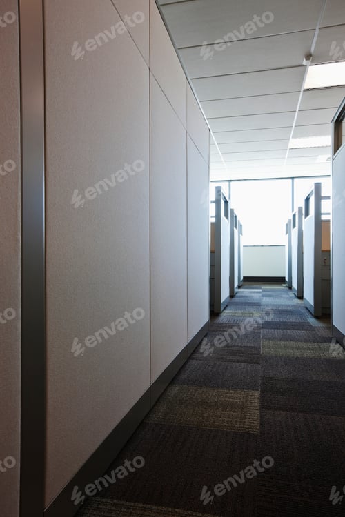 Preview: Carpeted Hall with Office Cubicles