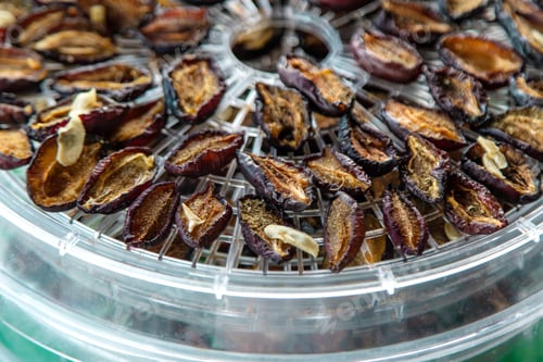 Preview: Plums dried in a dehydrator. Selective focus.
