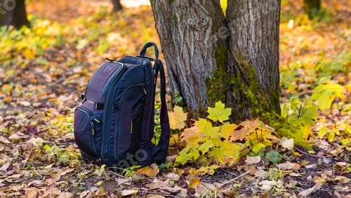Preview: backpack in the woods concept travel tourism