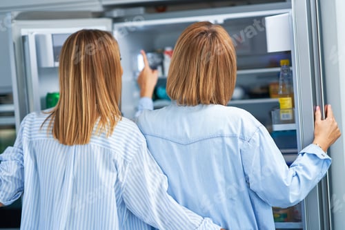 Preview: Nice two adult girls in the house with fridge