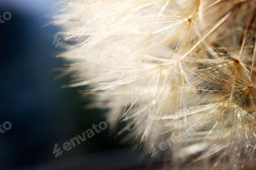 Preview: Foto-21-6