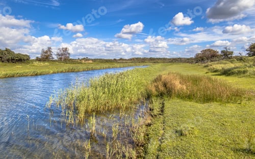 Preview: Landscape with canal in Amsterdamse waterleidingduinen