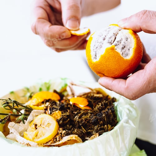 Preview: Sorting and composting food waste at home in kitchen