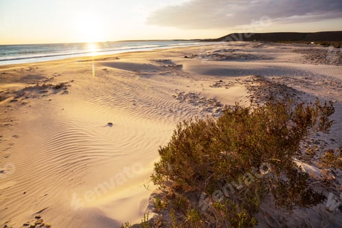 Preview: Ocean coast