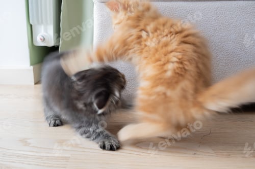 Preview: Blurred Motion Capture of Two Kittens at Play A Vibrant Gray and a Bright Ginger. Abstract