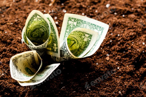 Preview: American dollars grow from the ground