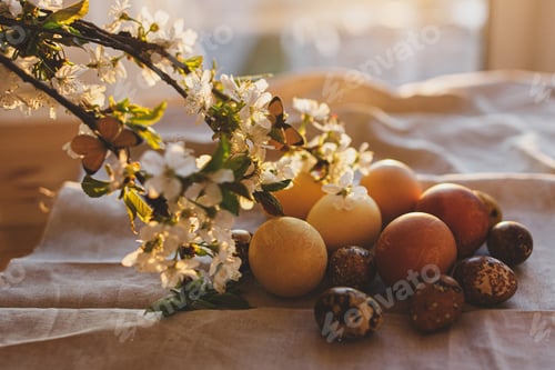 Preview: Modern pastel easter eggs and blooming cherry branch with butterfly on rustic cloth in sunny light