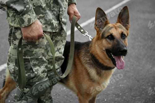 Preview: Man in military uniform with German shepherd dog outdoors, closeup
