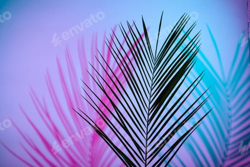 Preview: Tropical leaves in neon light with duotone shadows