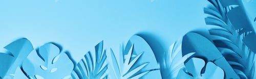 Preview: panoramic shot of blue minimalistic paper cut palm leaves on blue background with copy space